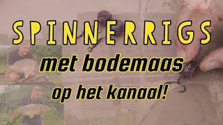 Karpervissen met Spinnerrigs en bodemaas op een kanaal [upl. by Ylac]