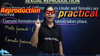 mam got angry on reproduction practical physicswallah [upl. by Baerl]