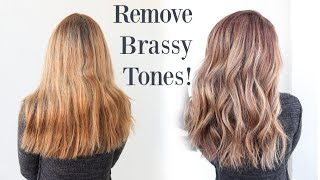 How to Remove Brassy Tones  Color Correction [upl. by Alegre]