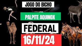 Palpitpara Federal dia 161124 JOGDO BICHde hojePalpit JB☆ [upl. by Feinberg]