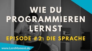 Welche Programmiersprache ist die „Richtige“ [upl. by Gillan919]