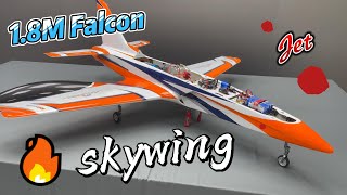 Skywing jet 18M Falcon static demonstration [upl. by Hodess]