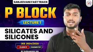 CHEMISTRY P BLOCK CLASS 11  SILICATES AND SILICONES  JEE SANJEEVANI FASTTRACK  BY SUDHANSHU SIR [upl. by Pish]