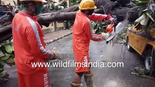 Cyclone Amphan in Cooch Behar North 24 Parganas West Bengal  First response rescue operation [upl. by Breen]