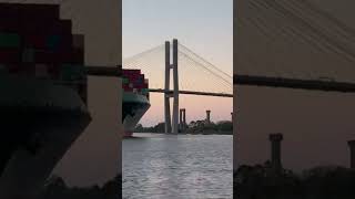 Container Ship Toledo Triumph Sets Sail from Savannah Harbor – Tugboats in Action [upl. by Ellehcer]