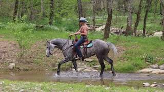 AQHA DAPPLE GRAY MARE SUPER PRETTY WELL BROKE PROFESSIONAL TRAINING RANCH ROPE [upl. by Evangelia831]