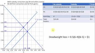 Economic Welfare Effects of a Government Subsidy [upl. by Nylhsa501]
