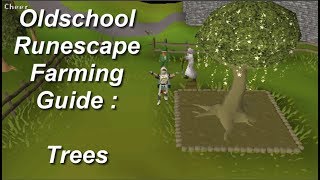 OSRS Ultimate Farming Guide  TREES Edition [upl. by Yrrek]