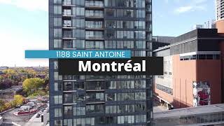 TOUR DES CANADIENS 2 CONDOS IN MONTREAL 🔴 RAWSKI amp LONDONO [upl. by Nere404]