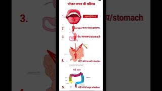 digestivesystem in simple wayalp ntpc allonedayexamsorts educationalcontent [upl. by Holmen]