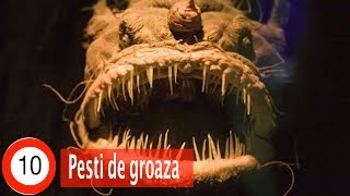 Top 10 Pești de Groază [upl. by Ihcur75]