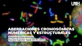 Aberraciones cromosómicas numéricas y estructurales [upl. by Devan]