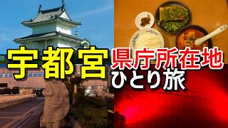 【栃木旅行】栃木の県庁所在地・宇都宮市をガチ観光した結果～二荒山神社・大谷観音・ぎょうざ・かぶと揚げ【県庁所在地をめぐる旅～栃木県宇都宮市～】 [upl. by Okoy]