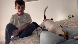 Giuseppe non si è sentito bene Jacopo si diverte spesa Coop con me debbyg vlog mamma casalinga💕 [upl. by Neeloj]