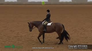 2018 AQHA Select Hunt Seat Equitation [upl. by Hgielrahc]