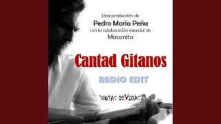 CANTAD GITANOS feat MACANITA Radio Edit [upl. by Edwin]