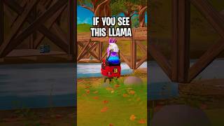 If You See This Llama BOX UP IMMEDIATELY [upl. by Aicrop196]