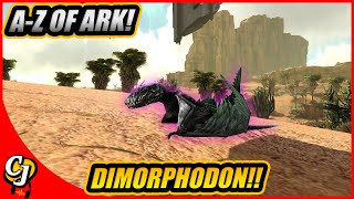 AZ Of Ark The DIMORPHODON And Why Its The Best Shoulder Pet  Ark Survival Evolved [upl. by Yemorej]