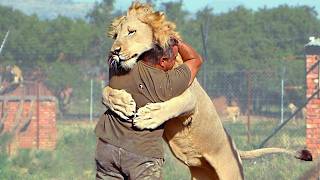 Animals Reunited With Owners AFTER YEARS apart [upl. by Fedak]