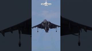 Hawker Siddeley AV8B Harrier Landing Maneuvers [upl. by Latsryc902]