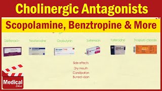 Pharmacology ANS 8 Cholinergic Antagonists Part 1 Atropine  Scopolamine  Benztropine etc [upl. by Goetz851]