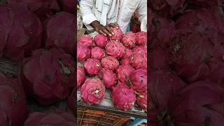 How to Grow dragon Fruits 2 🌿😍🌱 indianfarmer gardening indiangardeners phoolpatte vegegarden [upl. by Eciram245]