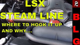 LS STEAM LINE HOOK UP AND EXPLANATION [upl. by Llerdna491]