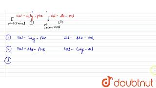 A hexapeptide has the composition AlaGlyPheVal Both the N terminal and C teminal units are [upl. by Lorilyn]