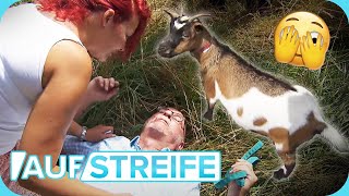 quotWo ist Klaraquot Dieser Unfall wegen einer ZIEGE ist ziemlich kurios 😅​🐐​ ​ Auf Streife  SAT1 [upl. by Agace250]