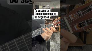 Escala flamenca en 30 segundos shortvideo guitarra guitar flamenco shortsviral [upl. by Attenaz]