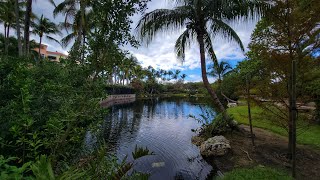 4K Lake Park  Key Biscayne   Fall Walking Virtual Travel Tour  Miami Florida  November 2024 [upl. by Oeramed345]