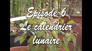 Plantes EP6  Le calendrier lunaire [upl. by Nitsuj872]