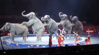 Ringling Brothers Circus  Cruelty to Elephants  Sept 1 2014 [upl. by Merow995]