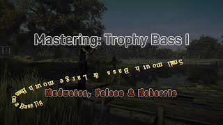 Trophy Bass I Bass Jig  Fishing Planet [upl. by Ylera]