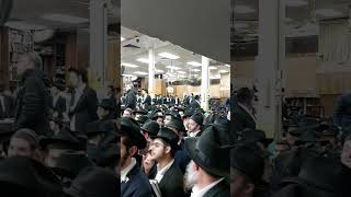 Chabad singing Long Live the King Moshiach [upl. by Treacy]