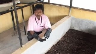 How to make Vermicompost [upl. by Sellihca]