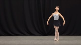 Insight Ballet Glossary  Petit allegro [upl. by Pauline713]