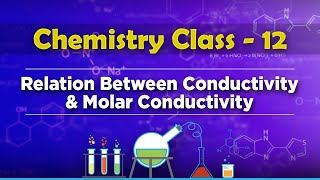 Relation Between Conductivity and Molar Conductivity  Electrochemistry  Chemistry Class 12 [upl. by Ruprecht561]