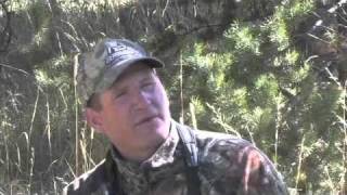 Elk Calling Basics with Troy Neimann of Pursue the Outdoors [upl. by Nari]