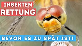 Garten Vlog Besuch im parkdergaerten  Wie sieht ein insektenfreundlicher Garten aus [upl. by Cykana390]