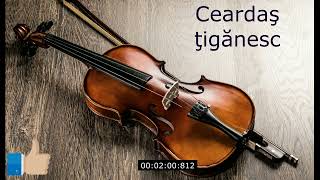 ✔♫✯ Joc tiganesc lentceardas instrumental vioara ✔♫✯ 2022 [upl. by Adrell572]