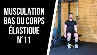 🔥MUSCULATION JAMBES ELASTIQUE N°11  Séance de musculation complète pour le bas du corps [upl. by Graner]