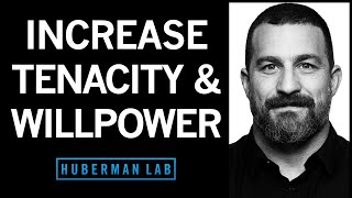 How to Increase Your Willpower amp Tenacity  Huberman Lab Podcast [upl. by Yenreit555]