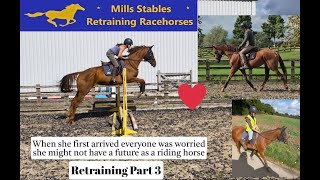 Retraining a quirky Racehorse into a riding horse  Hot Chique   PART THREE [upl. by Rind]