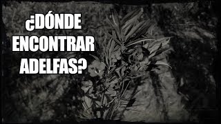 Red Dead Redemption 2  ¿Dónde encontrar Adelfas Desafío de Herbolario Nivel 8 [upl. by Andris]