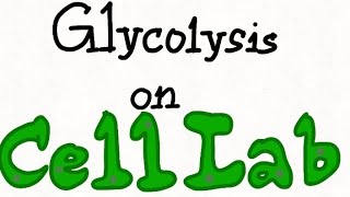 Cell Lab Creation  Glycolysis watch description [upl. by German]