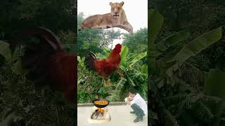 fish hen cow goat baz lion shorts video [upl. by Neoma]