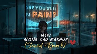 Heartbroken of Bollywood Hindi Lofi Slowed X Reverb  Lofi sad songs 2024 [upl. by Nosnah]