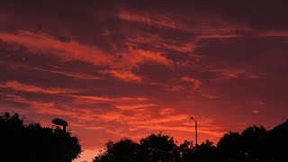 Lovely Sunrise  Northamptonshire UK  4 July 2023 [upl. by Acirema]