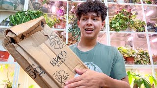 Rare Plant Unboxing amp Repotting some Houseplants Plant Chores [upl. by Anead638]